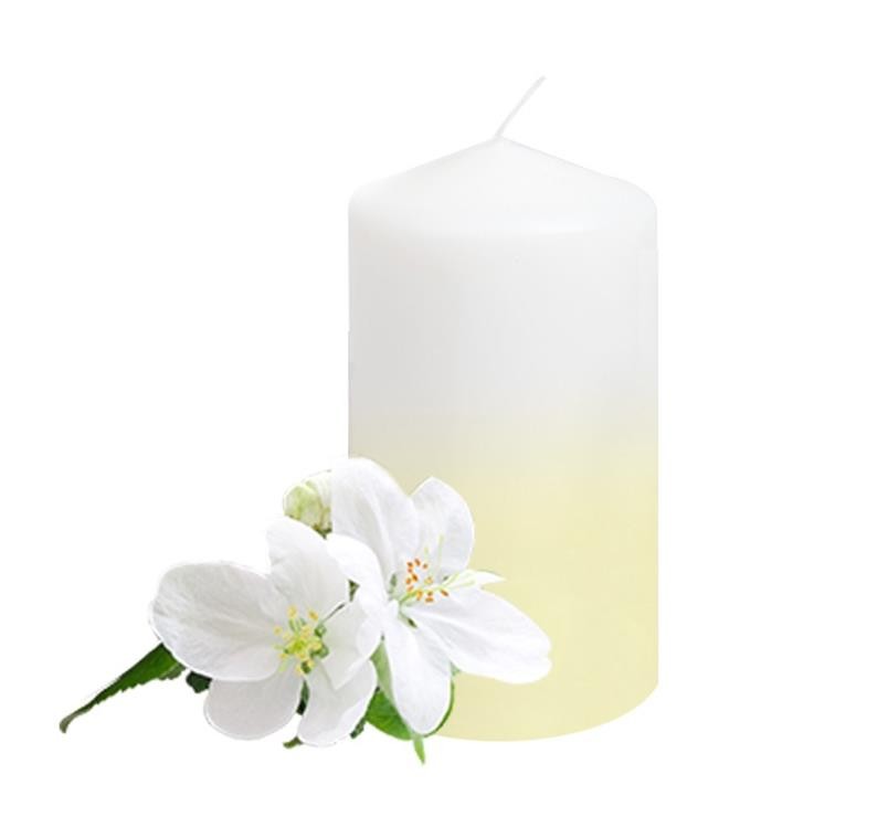 White fluffy flowers in spring and summer floral scent aroma compounds elegant fragrance